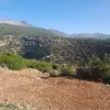 zakariyahafyan