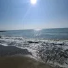 vionita731