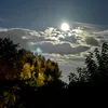 vic_16.04
