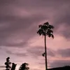 fitri_796