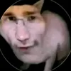 zlaykyt