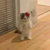 _.twhii