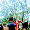 md.arif2858