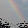 user8442501313617