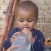 tyjib.hameed