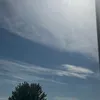 tweetysweetynoname1