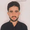 hamidpalari945