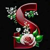 samsamouche6
