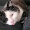 thms_hyp