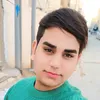 plm_pi