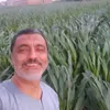 mohammedsabry2532