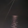 blackwolr