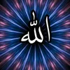 user39704658142375