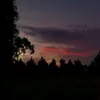 jxzz_.010