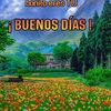 natividad0gmail.comhtt2