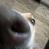 abbywaby0