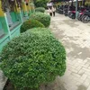 purwanto41059