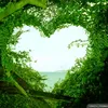 bichngoc_17129