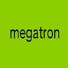 _megatron3000_