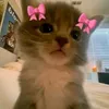 ddi_shka
