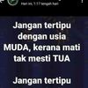 sangalut0