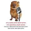 vladimir_central1
