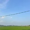 tamsucungthanhcong4