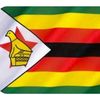 Zim Current Situation