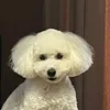 ronronronron24