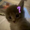 xemtaonayhehe