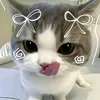 iiizumii3