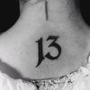 nitunage13