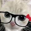 lynxzyyurs_only