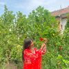 chandra.chaudhary98