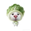 Người đẹp sống hướng ngoại🐰