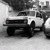 17_niva