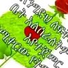 user24622962723137