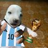 perro_messi