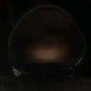 lam______77