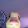 jesussjaydenn