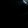.31311803