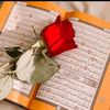 haticeha03