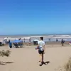 fransiscolaugero