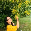 hoangtrang.82