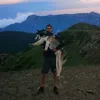 willy.husky