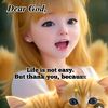 ivyclaire1234