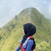 ncmdeuiii