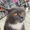 tuilatatthanh_0