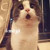thnah.lnaa147209