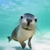 hannynekk_69
